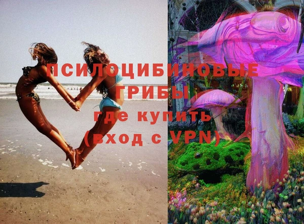 jwh Медногорск