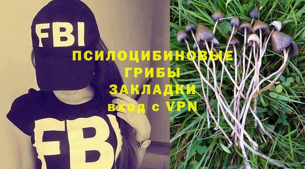 тгк Медвежьегорск
