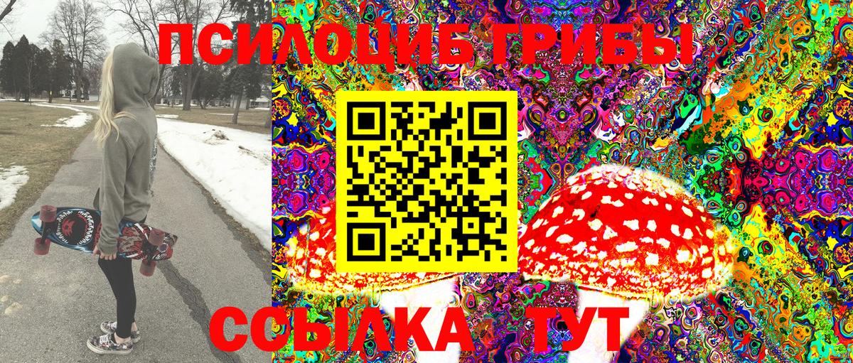 Избербаш  Галлюциногенные грибы GOLDEN TEACHER  Галлюциногенные грибы Psilocybine cubensis  Вход с VPN 