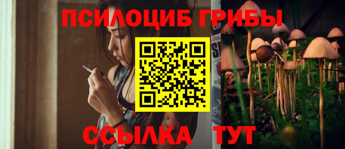 Псилоцибиновые грибы прущие грибы Избербаш